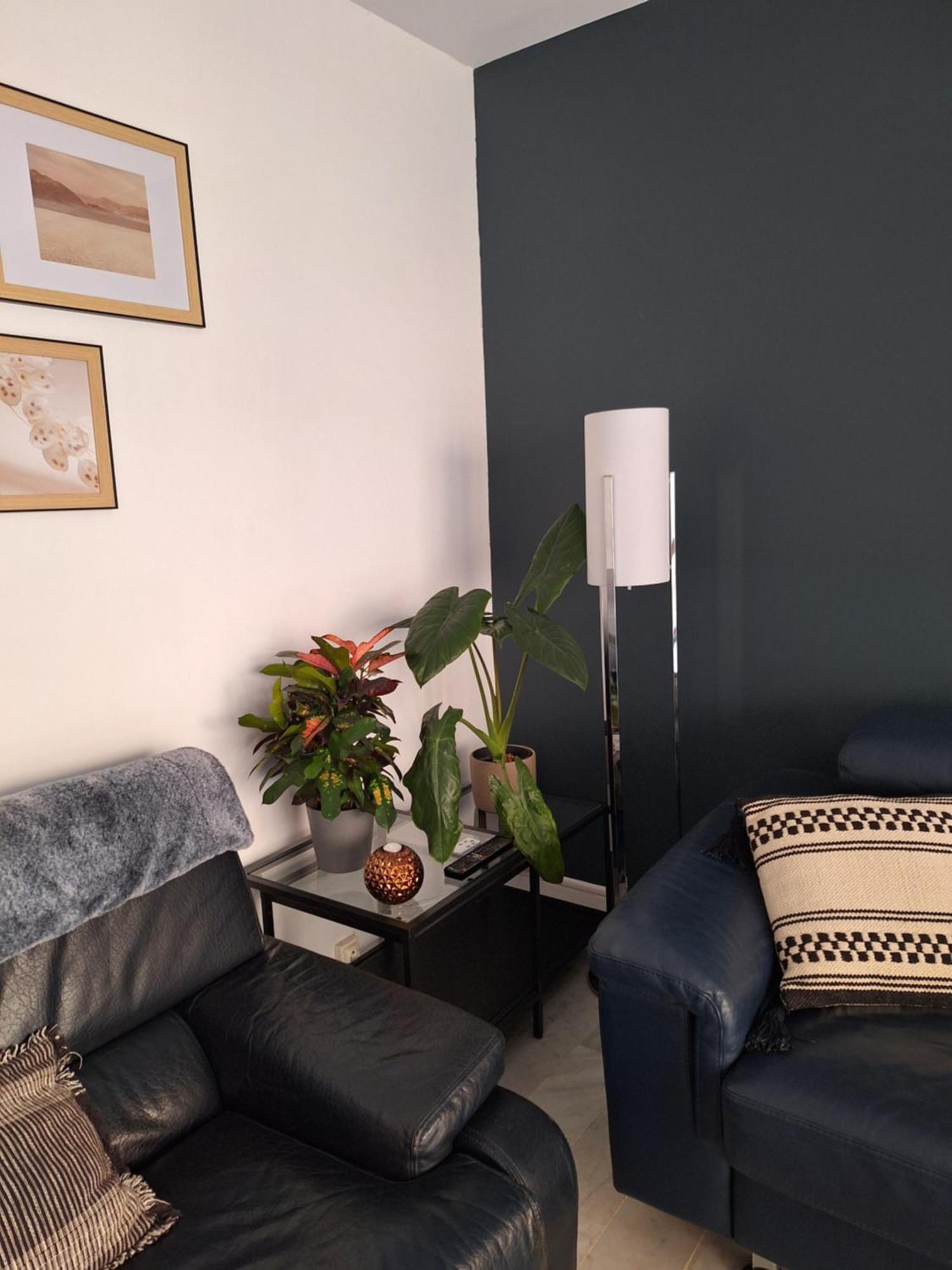 Appartement T3 Plein Centre Saint-Raphaël Extérieur photo